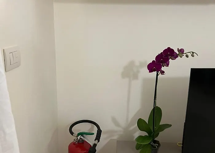 La Casina Di Ollie Verona